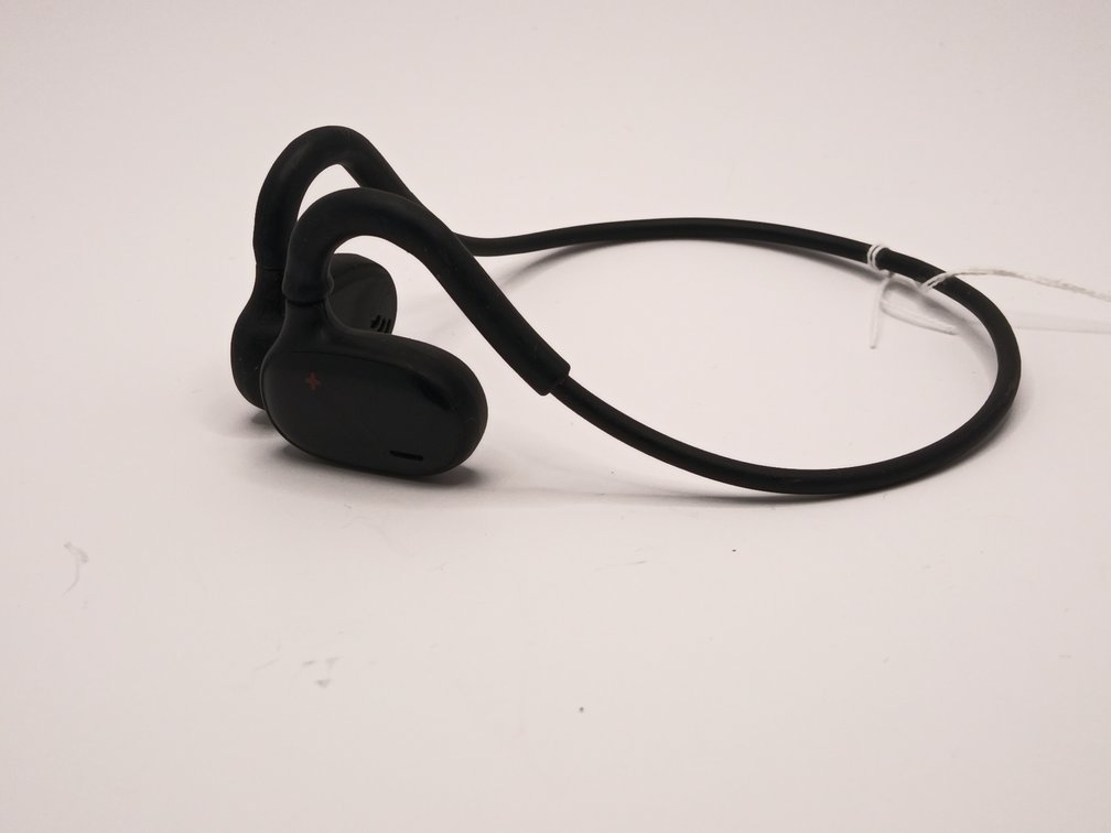 Black Dmooster Earphones