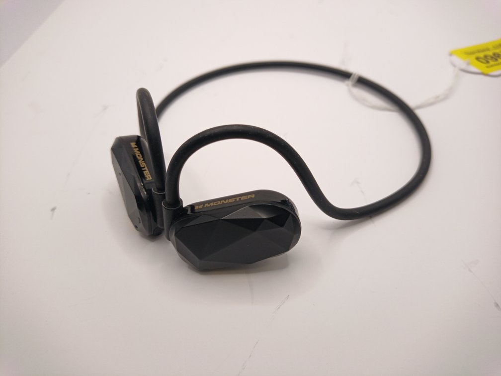 Monster Earphones