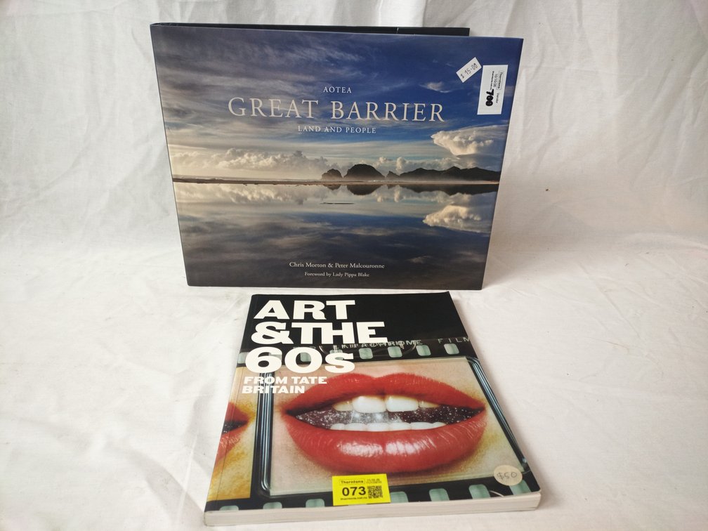 Art Books x 2