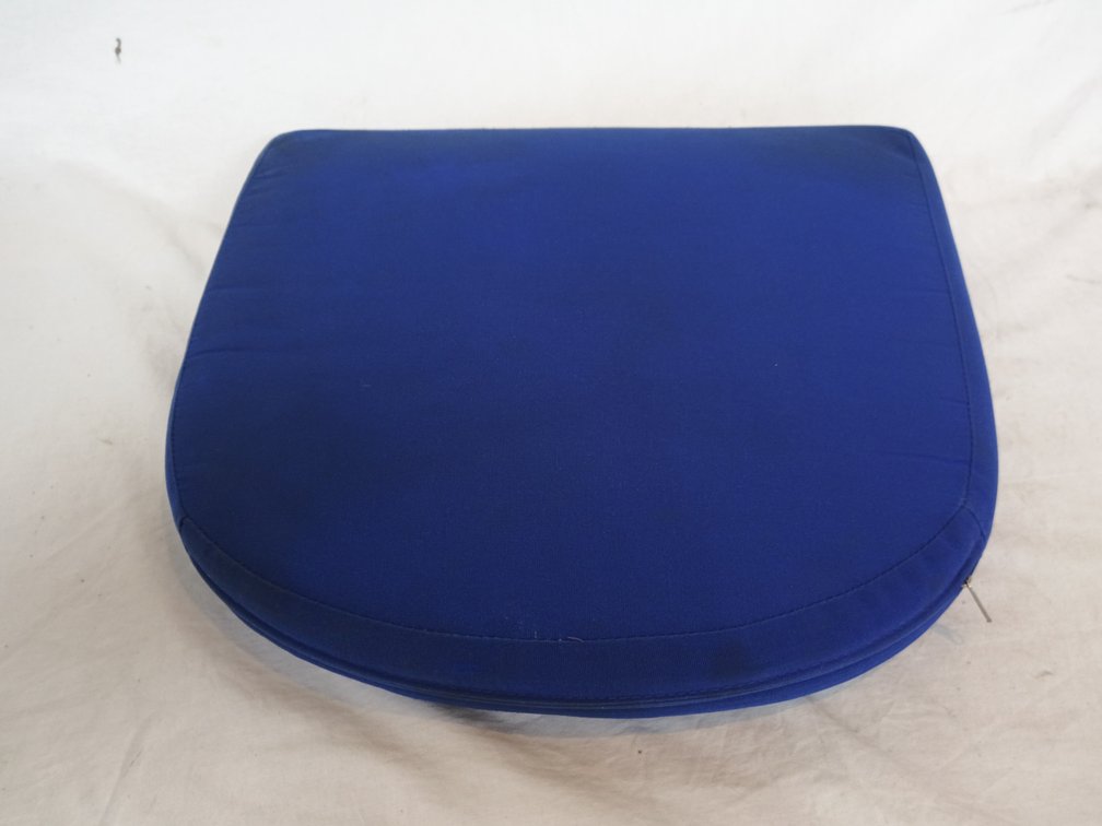 Blue Fabric Chair Cushions
