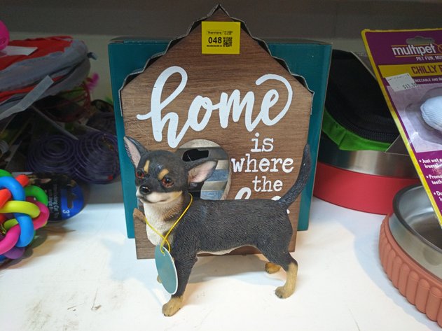 Image for Everyday Pets Clearance Auction 12.2.26 TH132992