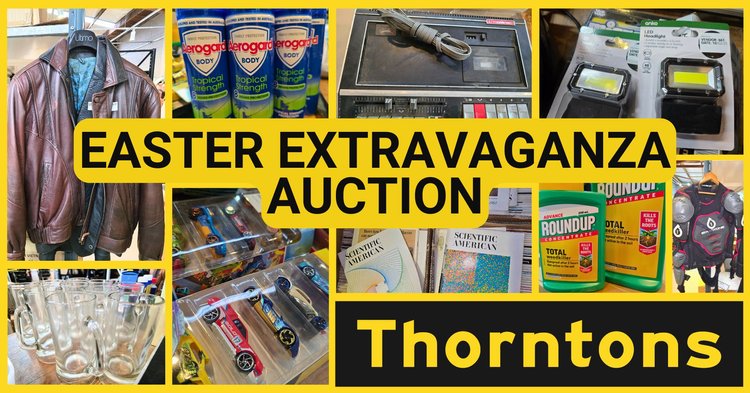 Image for Easter Extravaganza Auction  31.3.25 TU133027