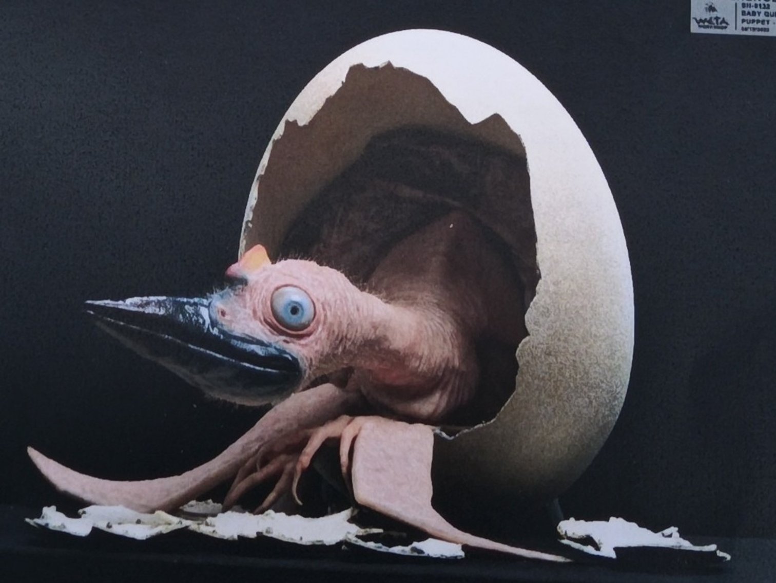 Image for Part 2 - Time Bandits FINAL AUCTION 3.3.25 WGN132650